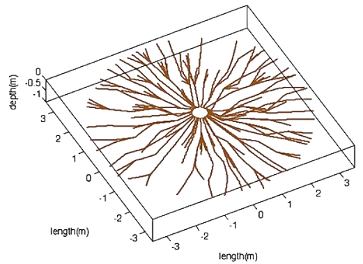 Análisis de raíces con TreeRadar